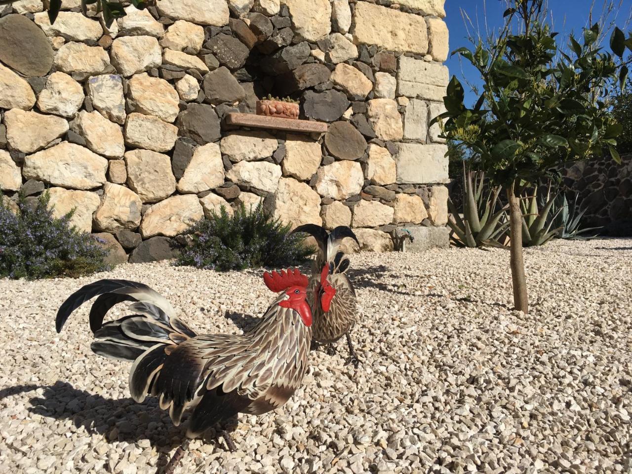 La Petite Maison Tresnuraghes Екстериор снимка